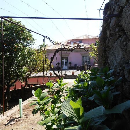 Casa Dos Varais, Manor House Lamego Eksteriør billede