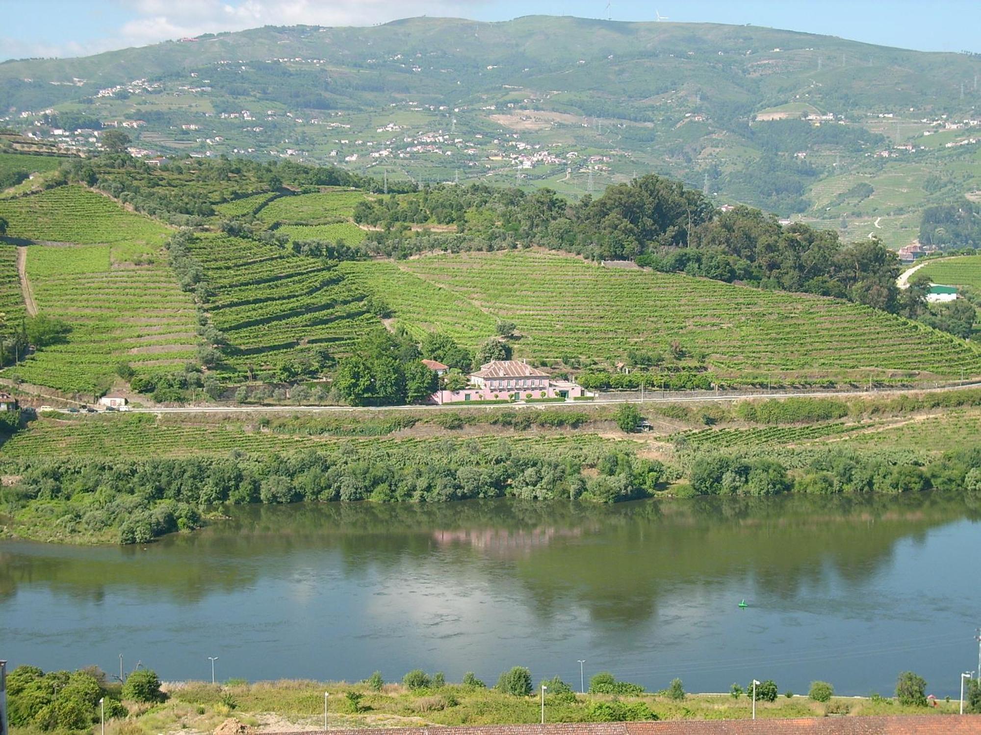 Casa Dos Varais, Manor House Lamego Eksteriør billede
