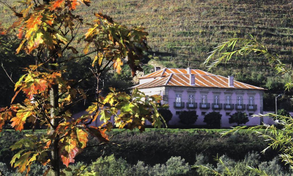 Casa Dos Varais, Manor House Lamego Eksteriør billede